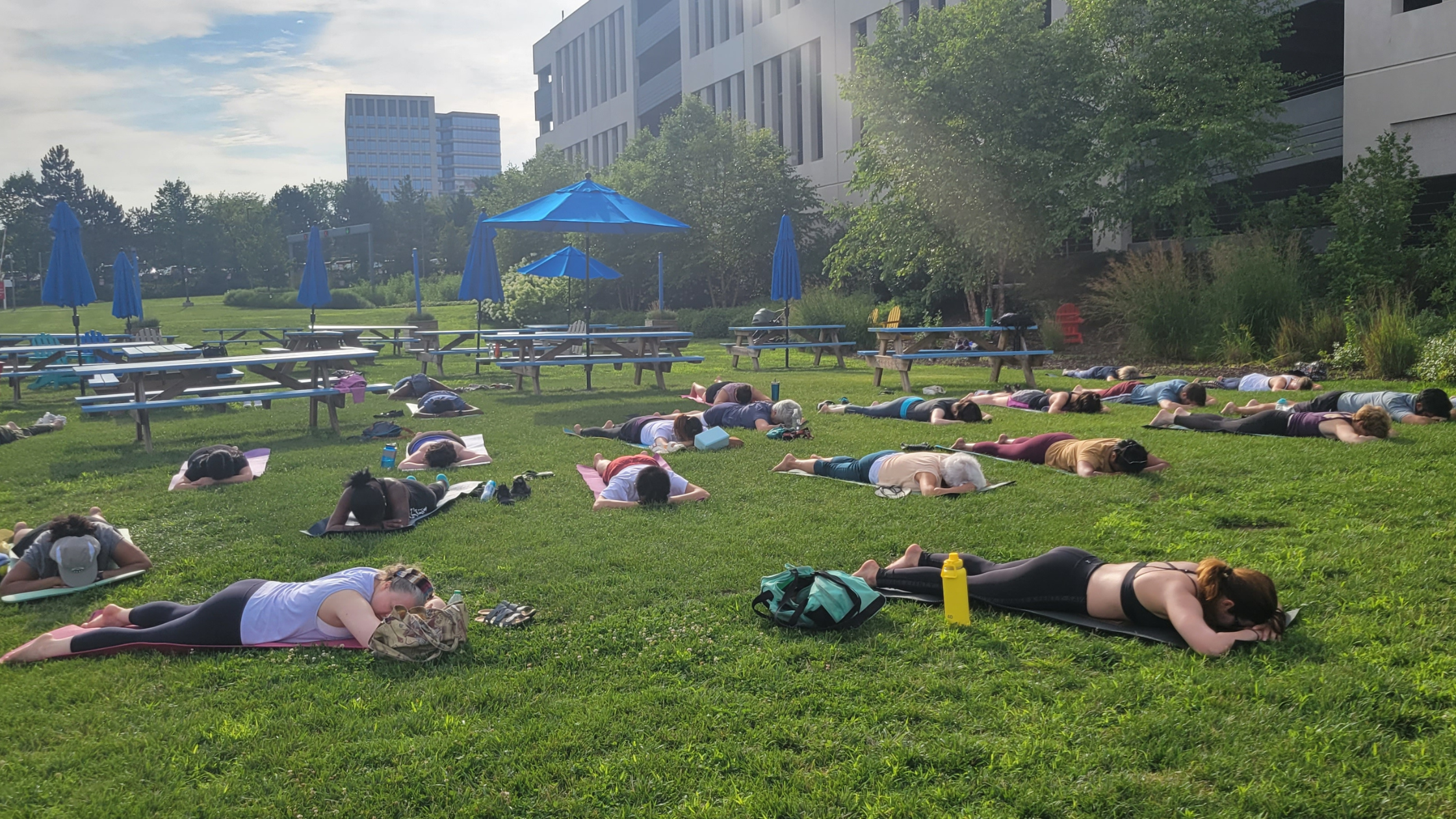 FREE Yoga in the Park