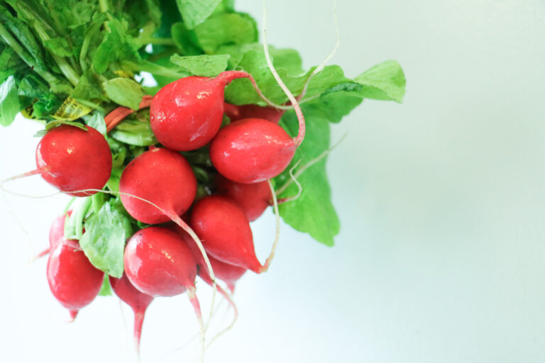 a bunch of red radishes
